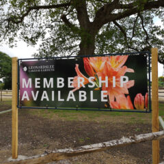 Banner Printing Horsham